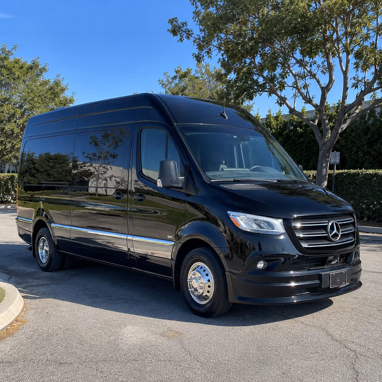 sprinter vans and limos for jackson wedding party pickups
